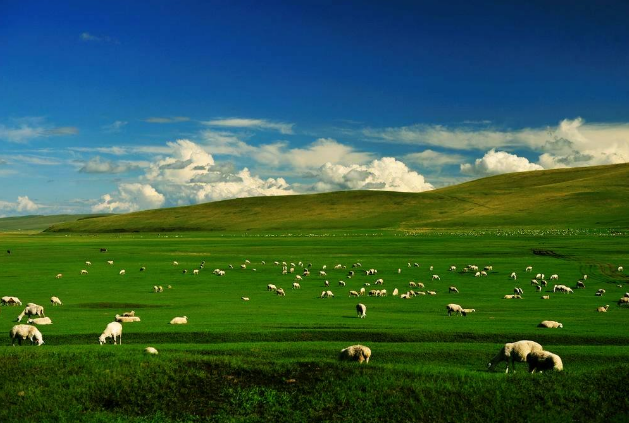 内蒙古十大必去景点 个个风景如画，你去过哪些呢