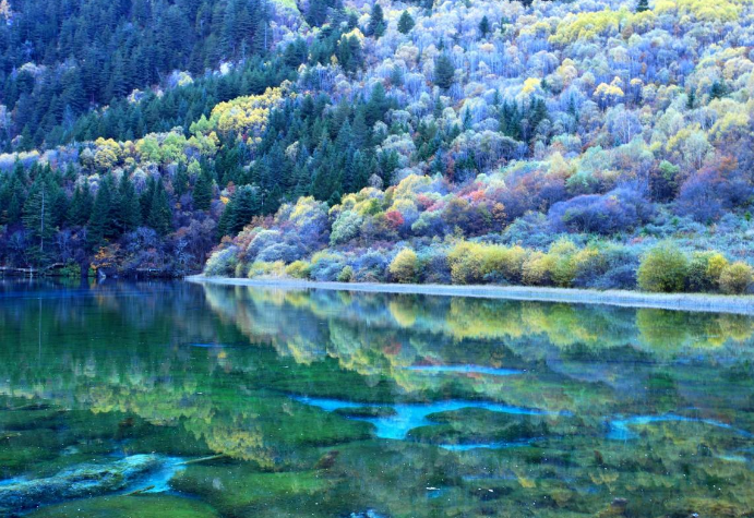 初中生旅游必去的地方 鼓浪屿位列第一，带你体验浪漫海岛