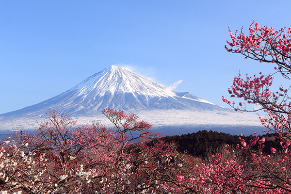 日本必去十大景点