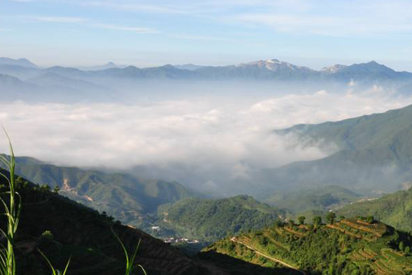 厦门十大爬山好去处排行榜：观音山/莲花山上榜，第一鸟语花香