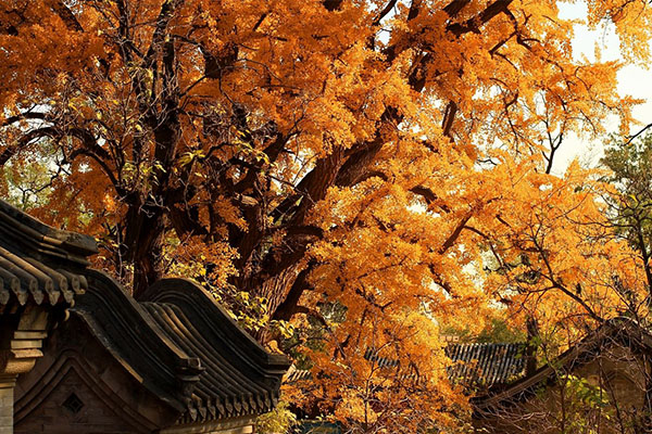 北京夏天十大景点