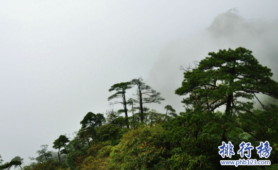 江西有什么好玩的地方?江西旅游必去景点排行榜