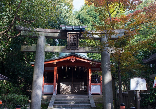 京都必玩的十大景点