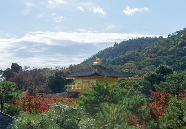 京都必玩的十大景点