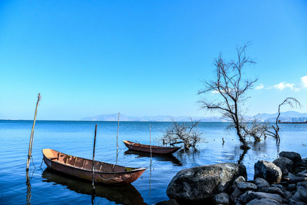 丽江到泸沽湖多少公里