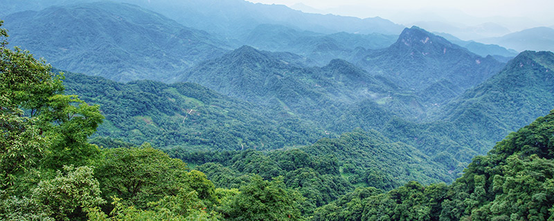 青城山在什么地方