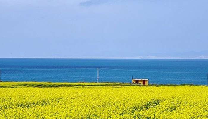 青海属于哪里