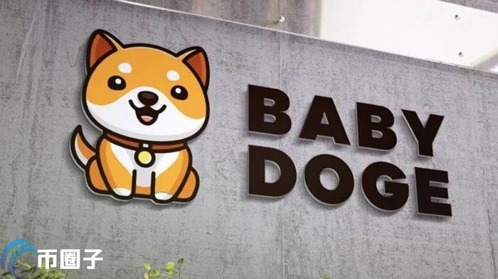 宝贝狗币前景如何？BABYDOGE币前景深度分析