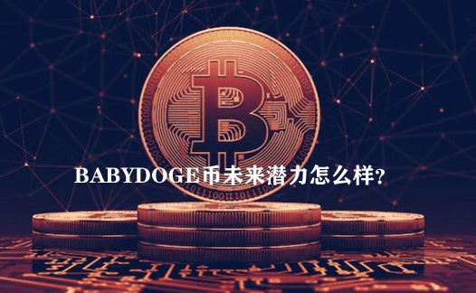 babydoge币未来潜力怎么样