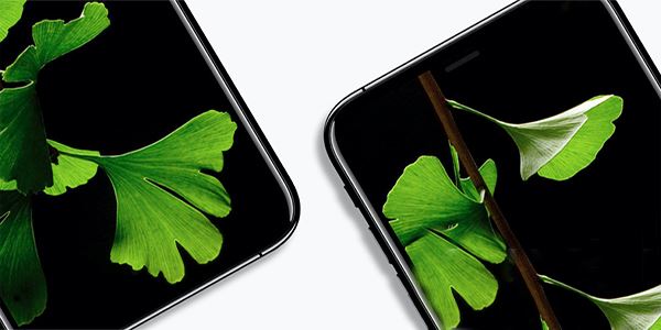 iPhone8是否具备面部识别功能？iPhone 8面部识别如何解锁